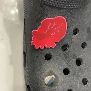 CROCS | Shoes | Crocs Black With Peace Chime And Lock Mens 6  display picture 1